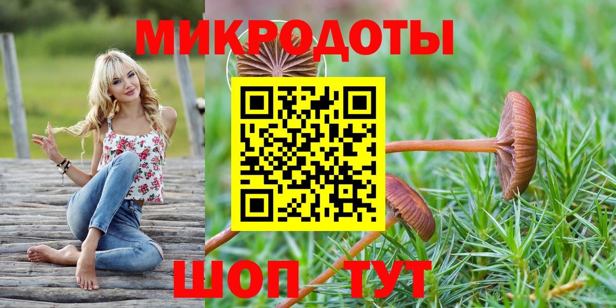 Галлюциногенные грибы прущие грибы  Вход с VPN  Александров  Галлюциногенные грибы мицелий 